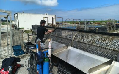 Maintenance industrielle sur mesure : en direct de notre intervention