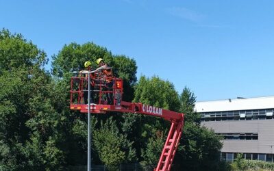 Pourquoi l’été est la saison idéale pour le relamping extérieur ?